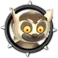 Kung Fu Leemur