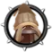Sawtooth Barrelsquid