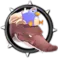 Birdhead Boneycroc