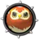Tawny Wilds Owl