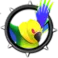 Greenwing Pacaw