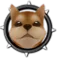 Shiba Inu