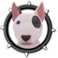 Bull Terrier
