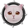 Burmilla