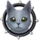 Russian Blue