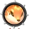 Fennec Fox